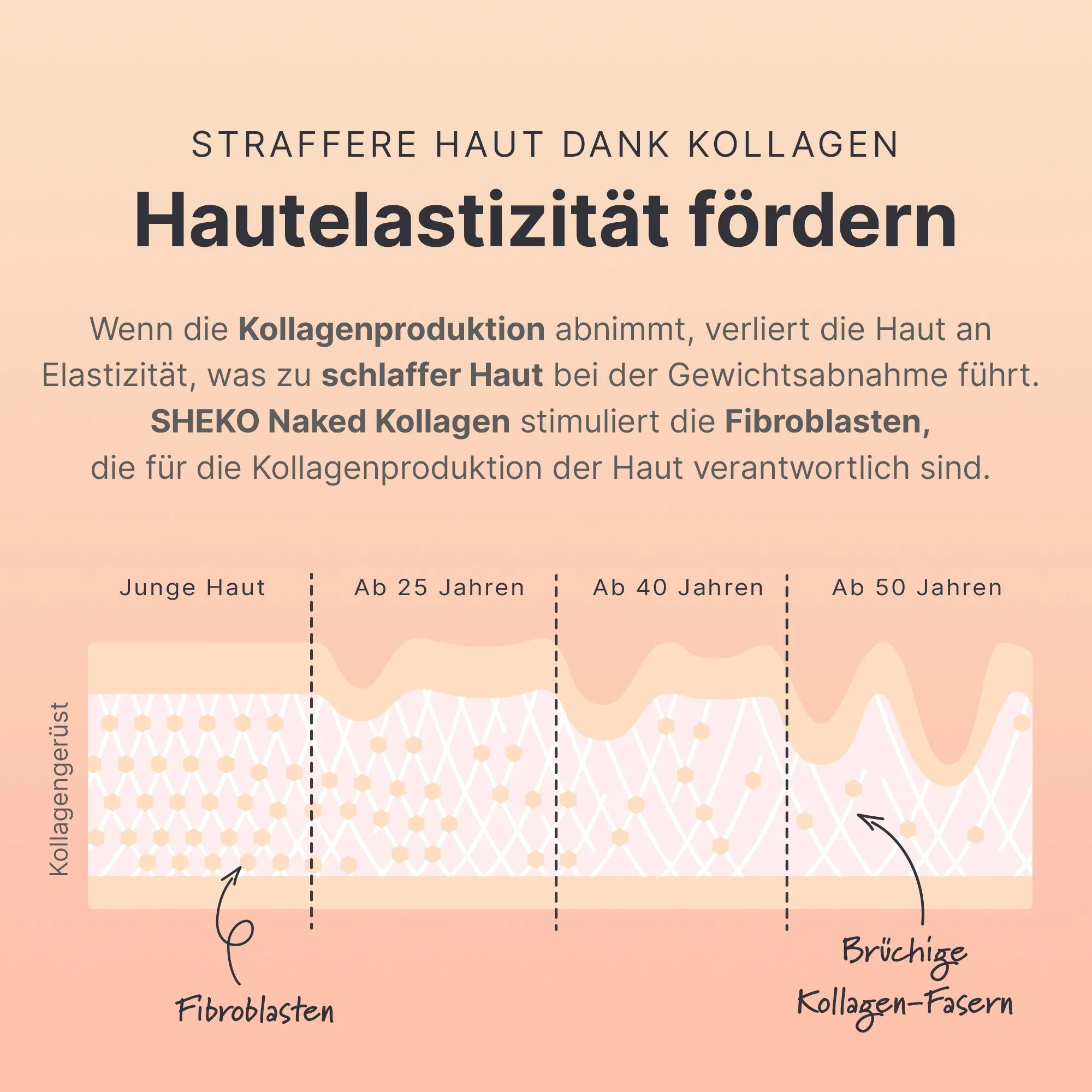 Vorschaubild 7