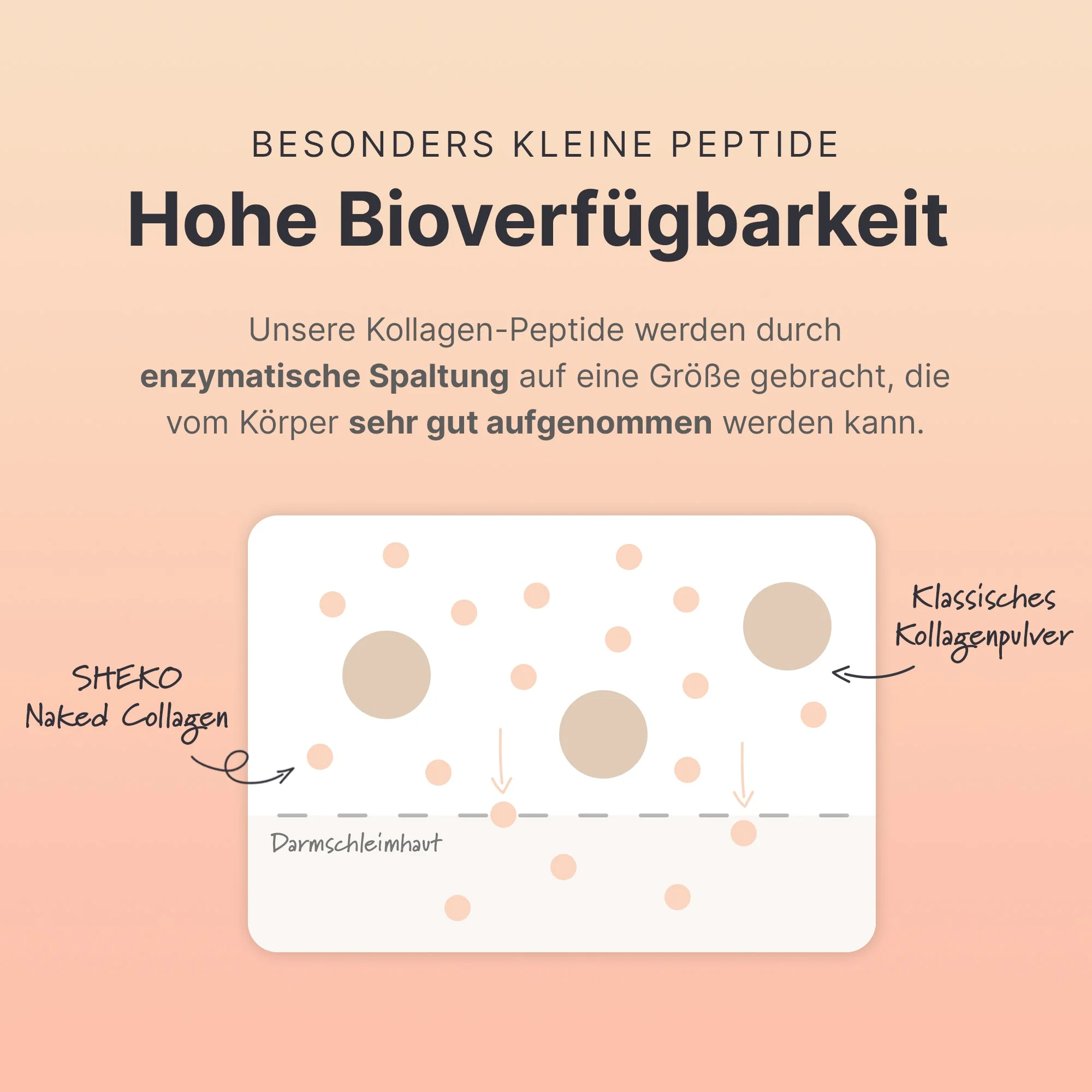 Vorschaubild 8