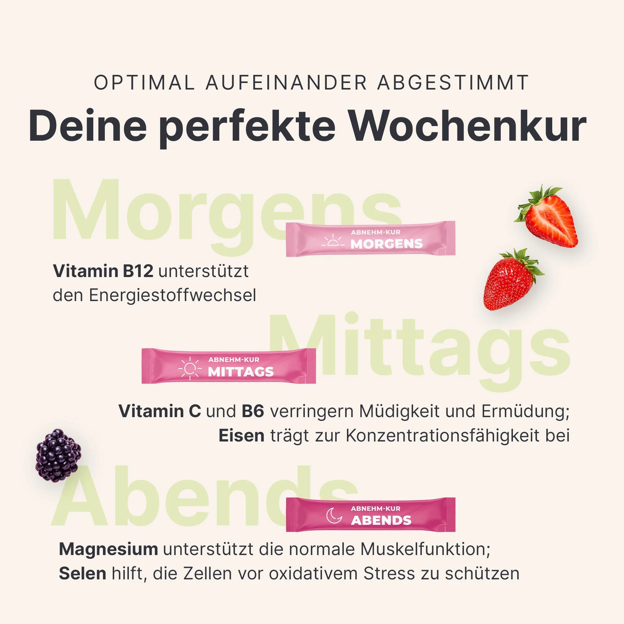 Vorschaubild 8